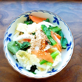 白菜と小松菜と人参の和風サラダ